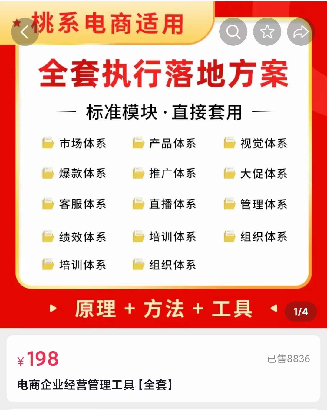 外面卖198·电商企业经营管理工具：全套执行落地方案 标准模块·直接套用插图零零网创资源网