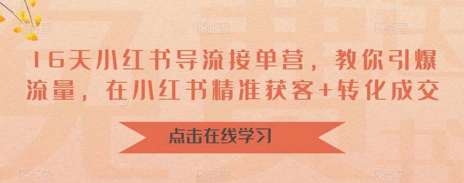 16天-小红书 导流接单营，教你引爆流量，在小红书精准获客+转化成交