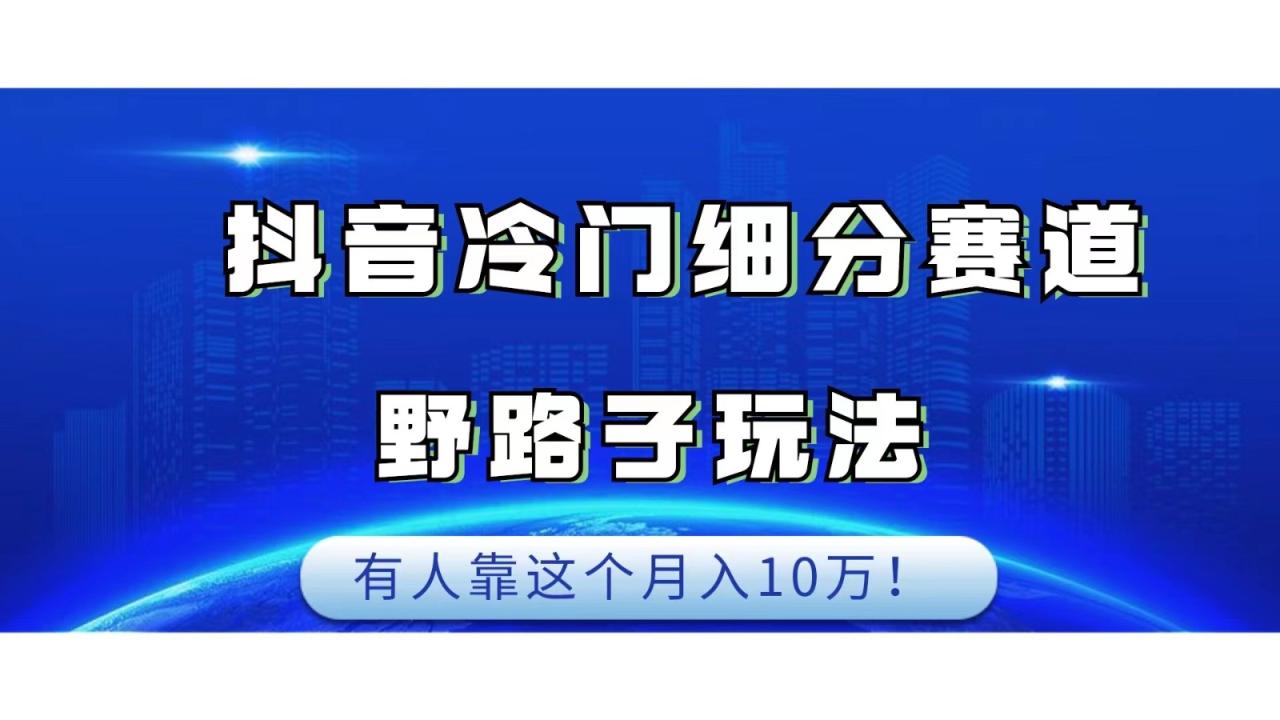 抖音冷门细分赛道野路子玩法，有人靠这个月入10万