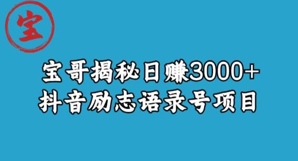 宝哥揭秘日赚3000+抖音励志语录号短视频变现项目插图零零网创资源网