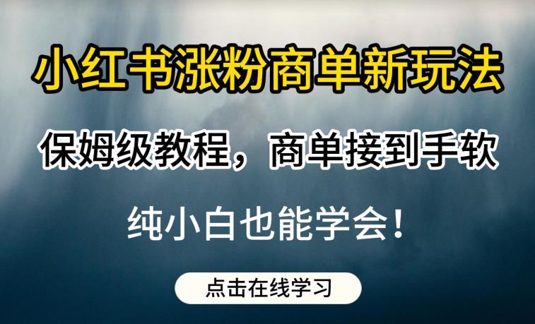 小红书涨粉商单新玩法，保姆级教程，商单接到手软，纯小白也能学会【揭秘】插图零零网创资源网