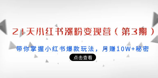 21天小红书涨粉变现营：带你掌握小红书爆款玩法，月赚10W+秘密插图零零网创资源网