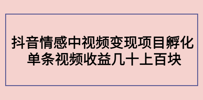 副业孵化营第5期：抖音情感中视频变现项目孵化 单条视频收益几十上百插图零零网创资源网