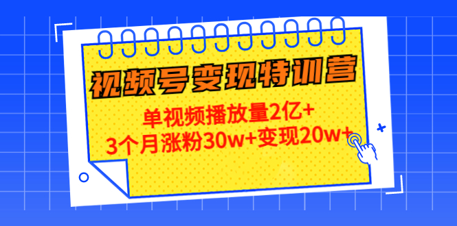 21天视频号变现特训营：单视频播放量2亿+3个月涨粉30w+变现20w+插图零零网创资源网