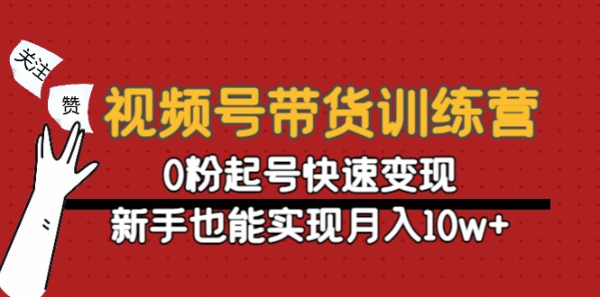 视频号带货训练营：0粉起号快速变现，新手也能实现月入10w+插图零零网创资源网