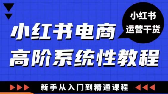 小红书电商高阶系统教程，新手从入门到精通系统课插图零零网创资源网