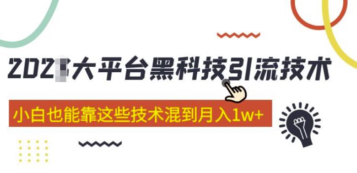 大平台黑科技引流技术，小白也能靠这些技术混到月入1w+(2022年的课程）插图零零网创资源网