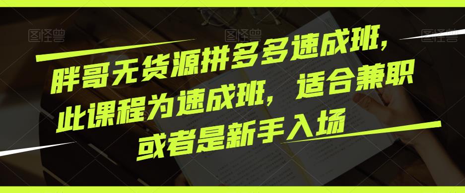 胖哥无货源拼多多速成班，此课程为速成班，适合兼职或者是新手入场插图零零网创资源网