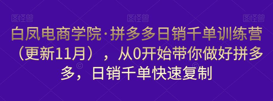 白凤电商学院·拼多多日销千单训练营，从0开始带你做好拼多多，日销千单快速复制（更新知2023年3月）插图零零网创资源网