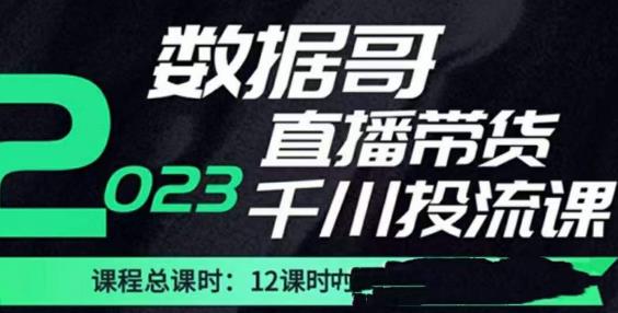 数据哥2023直播电商巨量千川付费投流实操课，快速掌握直播带货运营投放策略插图零零网创资源网