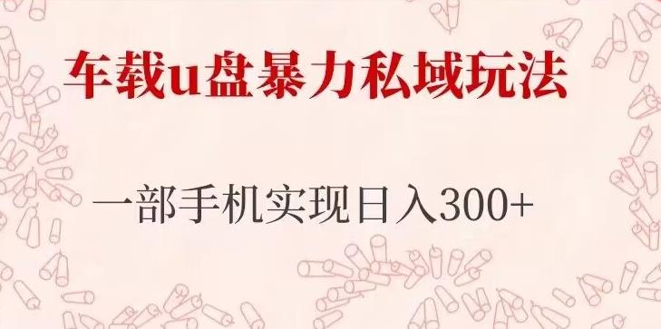 车载u盘暴力私域玩法，长期项目，仅需一部手机实现日入300+插图零零网创资源网