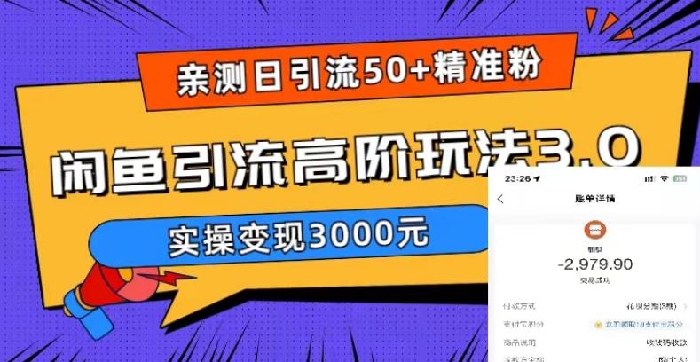 亲测日引50+精准粉，闲鱼引流高阶玩法3.0，实操变现3000元【揭秘】插图零零网创资源网