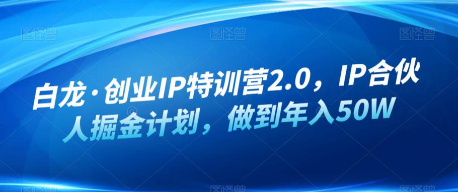 白龙·创业IP特训营2.0，IP合伙人掘金计划，做到年入50W插图零零网创资源网