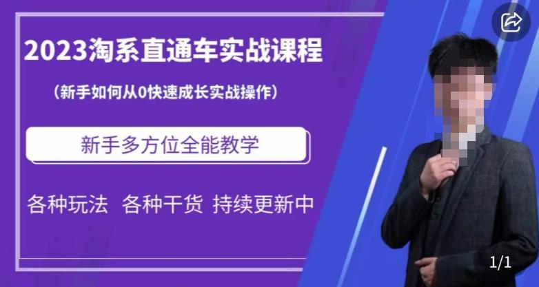 2023淘系直通车保姆式运营讲解，新手如何从0快速成长实战操作，新手多方位全能教学插图零零网创资源网