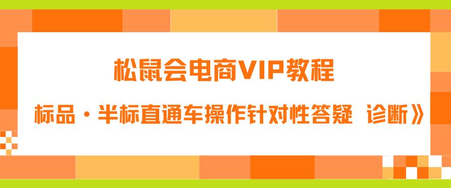 松鼠会电商VIP教程：松鼠《付费推广标品·半标直通车操作针对性答疑&诊断》插图零零网创资源网