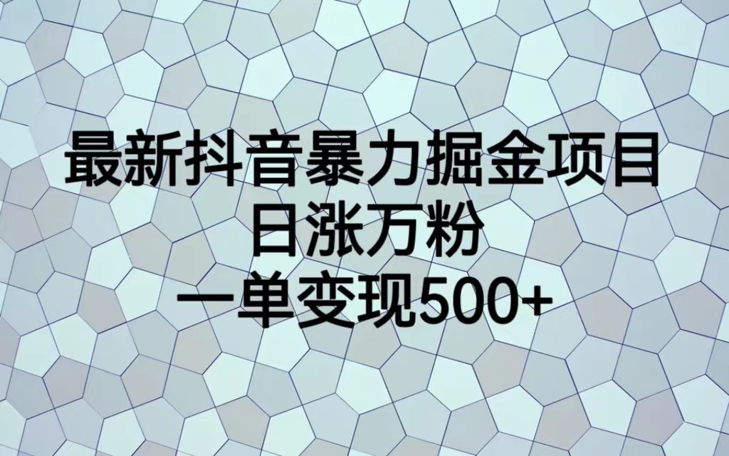 最新抖音暴力掘金项目，日涨万粉，一单变现500+插图零零网创资源网