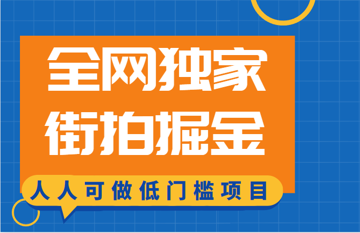 全网独家一街拍掘金，低门槛人人可做的赚钱项目插图零零网创资源网