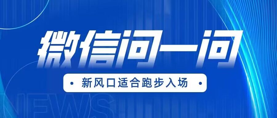 全网首发微信问一问新风口变现项目（价值1999元）插图零零网创资源网