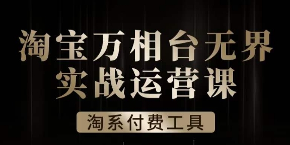 沧海·淘系万相台无界实战运营课，万相台无界实操全案例解析插图零零网创资源网