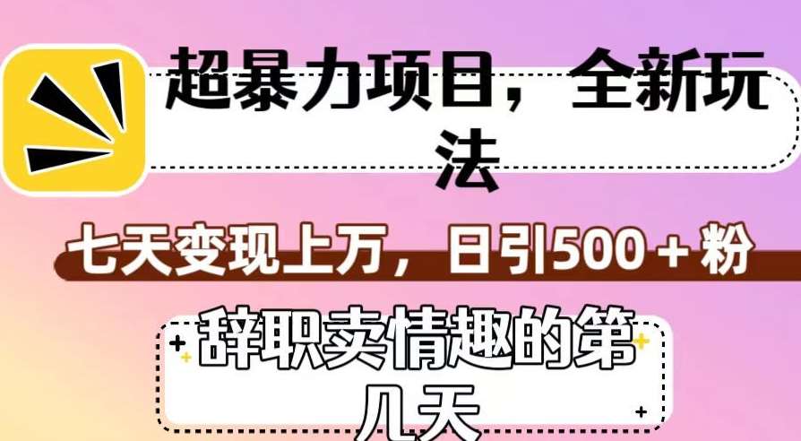 超暴利项目，全新玩法（辞职卖情趣的第几天），七天变现上万，日引500+粉【揭秘】插图零零网创资源网