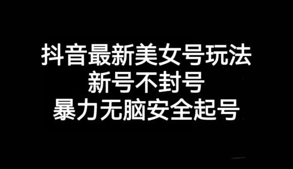 抖音最新美女号玩法，新号不封号，暴力无脑安全起号【揭秘】插图零零网创资源网