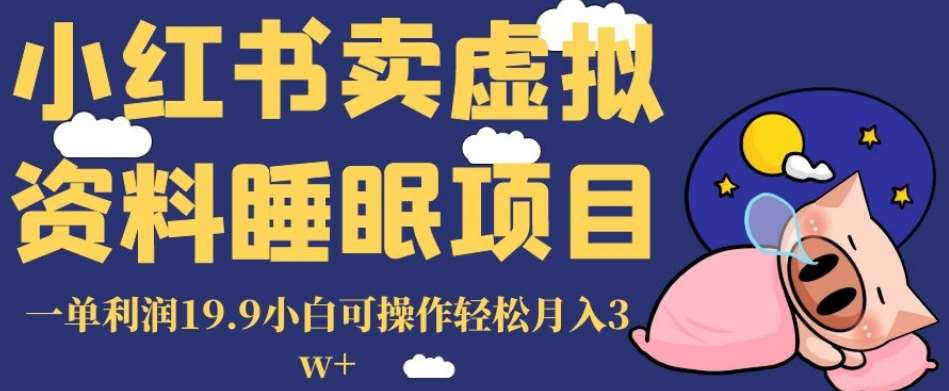 小红书卖虚拟资料睡眠项目，一单利润19.9小白可操作轻松月入3w+【揭秘】插图零零网创资源网