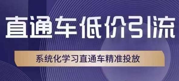 直通车低价引流课，系统化学习直通车精准投放插图零零网创资源网