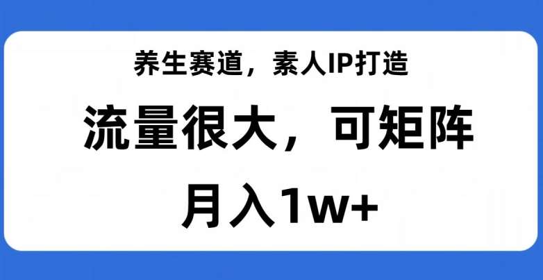 养生赛道，素人IP打造，流量很大，可矩阵，月入1w+【揭秘】插图零零网创资源网