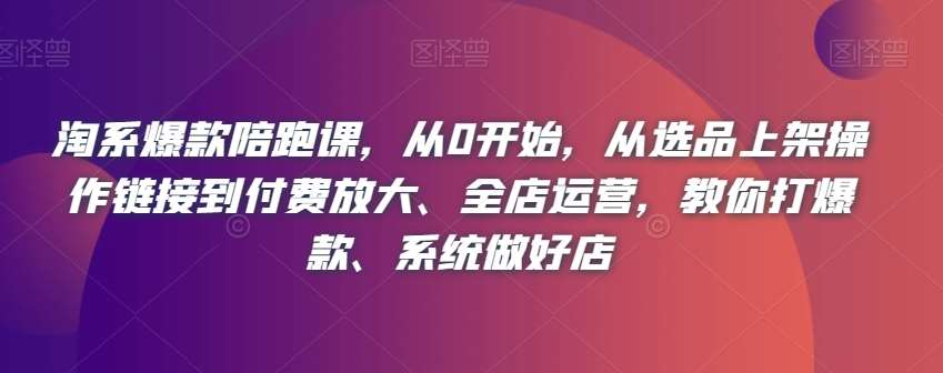 淘系爆款陪跑课，从0开始，从选品上架操作链接到付费放大、全店运营，教你打爆款、系统做好店插图零零网创资源网