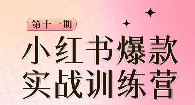 小红书博主爆款训练营第11期，手把手教你从0-1做小红书，从定位到起号到变现插图零零网创资源网