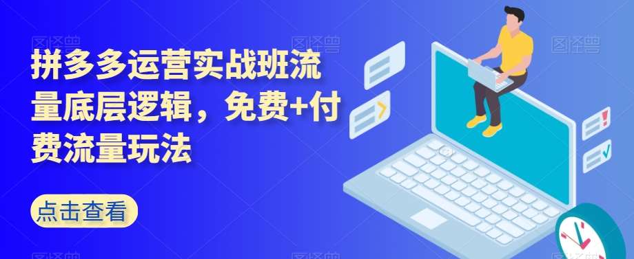 拼多多运营实战班流量底层逻辑，免费+付费流量玩法插图零零网创资源网