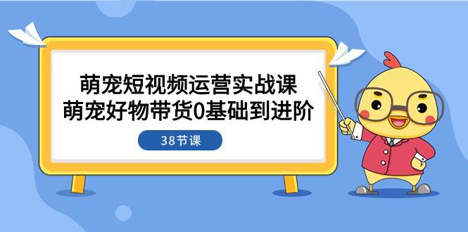 （7915期）萌宠·短视频运营实战课：萌宠好物带货0基础到进阶（38节课）插图零零网创资源网