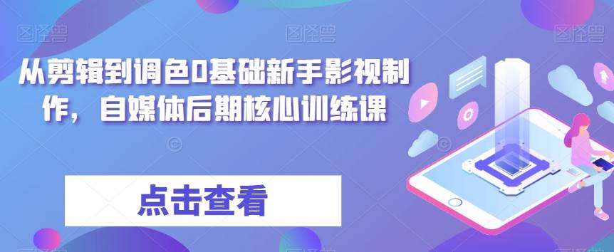 从剪辑到调色0基础新手影视制作，自媒体后期核心训练课插图零零网创资源网