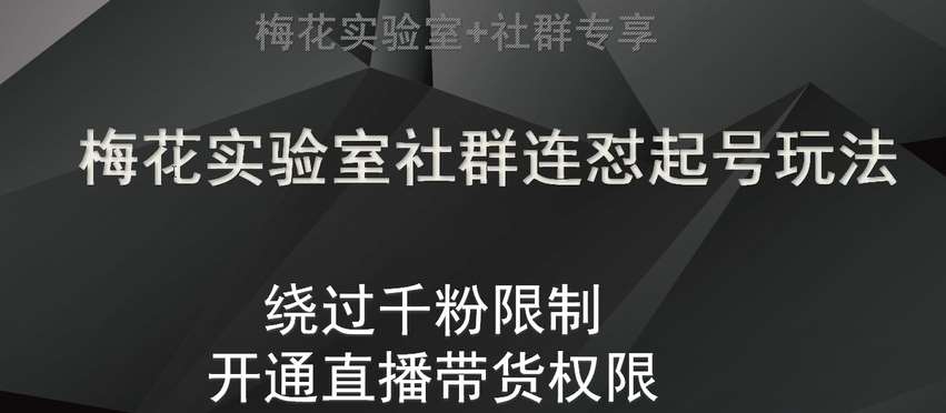 梅花实验室社群连怼起号玩法，视频号绕过千粉限制，开通直播带货权限【揭秘】插图零零网创资源网