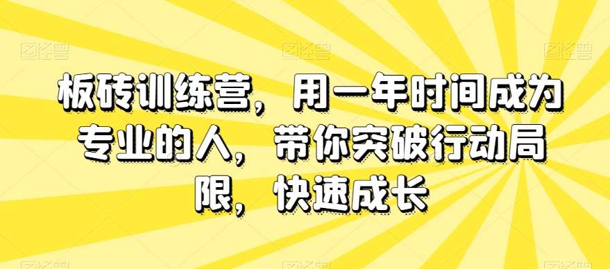 板砖训练营，用一年时间成为专业的人，带你突破行动局限，快速成长插图零零网创资源网