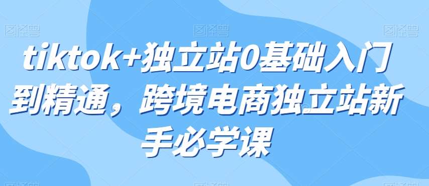 tiktok+独立站0基础入门到精通，跨境电商独立站新手必学课插图零零网创资源网