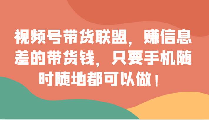 视频号带货联盟，赚信息差的带货钱，只需手机随时随地都可以做！插图零零网创资源网