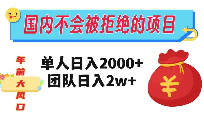 在国内不怕被拒绝的项目，单人日入2000，团队日入20000+【揭秘】插图零零网创资源网