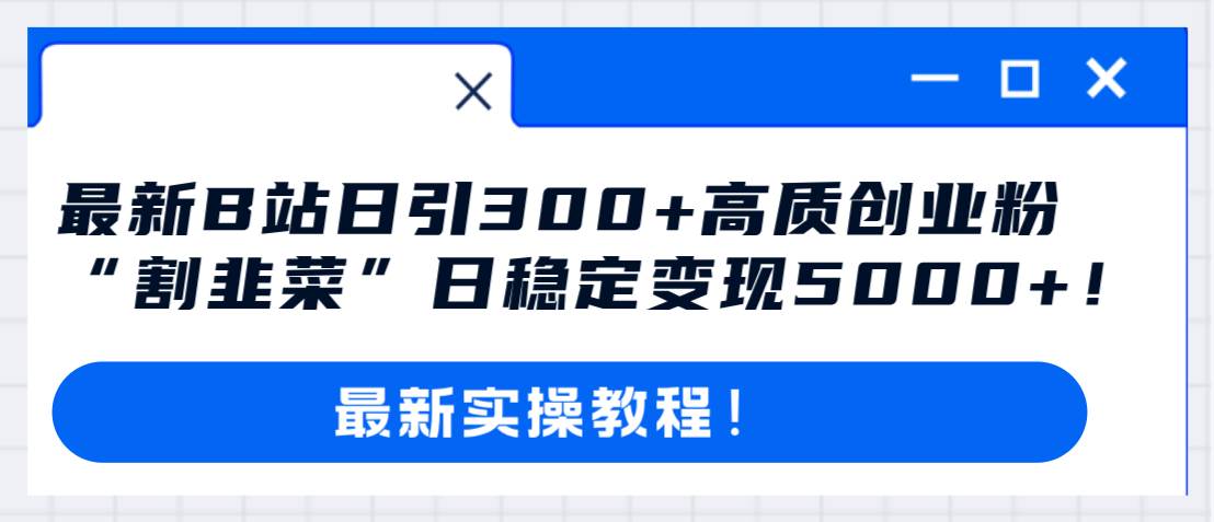 （8216期）最新B站日引300+高质创业粉教程！“割韭菜”日稳定变现5000+！插图零零网创资源网