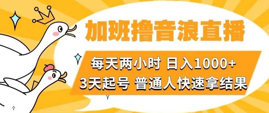 加班撸音浪直播，每天两小时，日入1000+，直播话术才3句，3天起号，普通人快速拿结果【揭秘】插图零零网创资源网