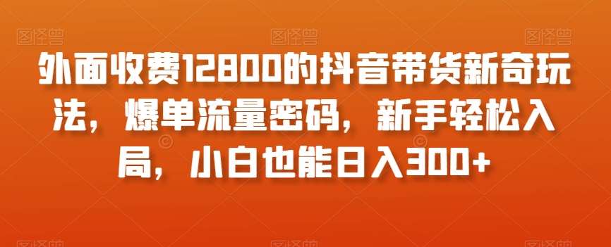 外面收费12800的抖音带货新奇玩法，爆单流量密码，新手轻松入局，小白也能日入300+【揭秘】插图零零网创资源网