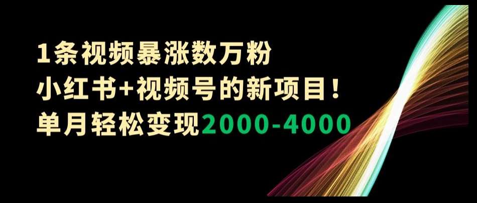 1条视频暴涨数万粉–小红书+视频号的新项目！单月轻松变现2000-4000【揭秘】插图零零网创资源网