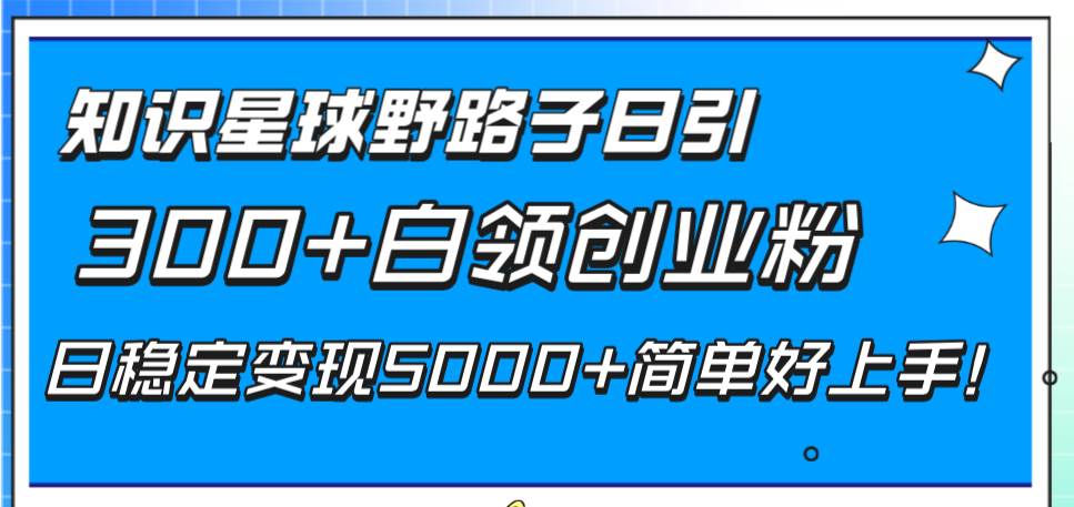 （8315期）知识星球野路子日引300+白领创业粉，日稳定变现5000+简单好上手！插图零零网创资源网