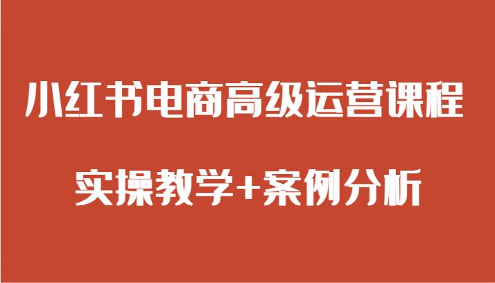 小红书电商高级运营课程 实操教学+案例分析插图零零网创资源网