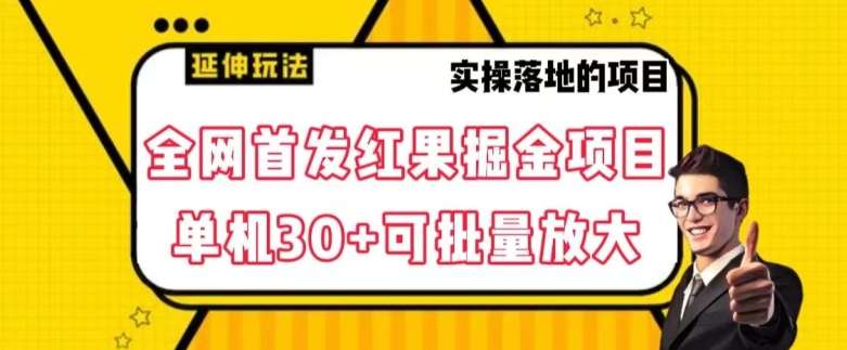 全网首发红果免费短剧掘金项目，单机30+可批量放大【揭秘】插图零零网创资源网