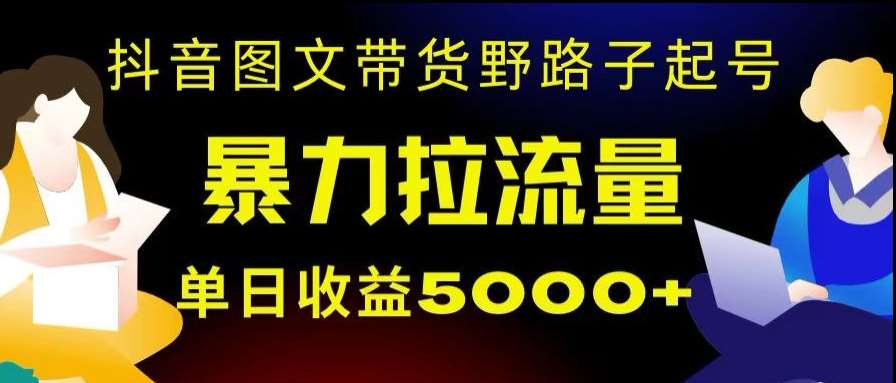 抖音图文带货暴力起号，单日收益5000+，野路子玩法，简单易上手，一部手机即可【揭秘】插图零零网创资源网