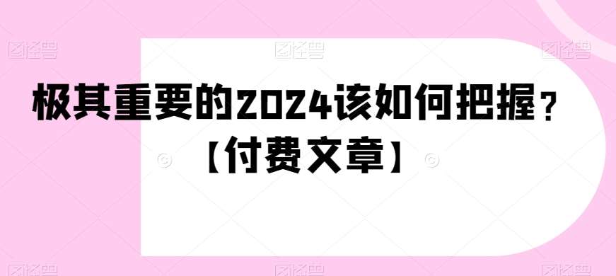 极其重要的2024该如何把握？【付费文章】插图零零网创资源网