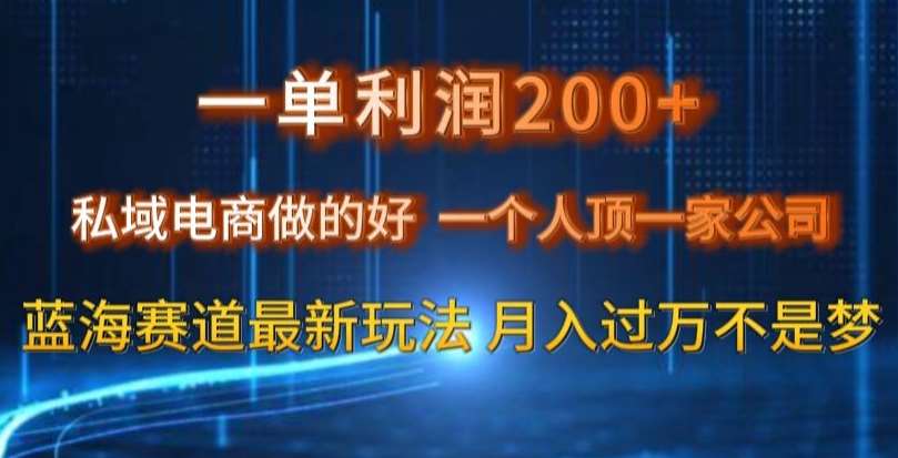 一单利润200私域电商做的好，一个人顶一家公司蓝海赛道最新玩法【揭秘】插图零零网创资源网