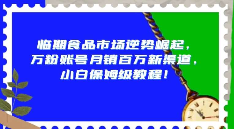 临期食品市场逆势崛起，万粉账号月销百万新渠道，小白保姆级教程【揭秘】插图零零网创资源网