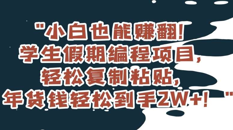 小白也能赚翻！学生假期编程项目，轻松复制粘贴，年货钱轻松到手2W+【揭秘】插图零零网创资源网